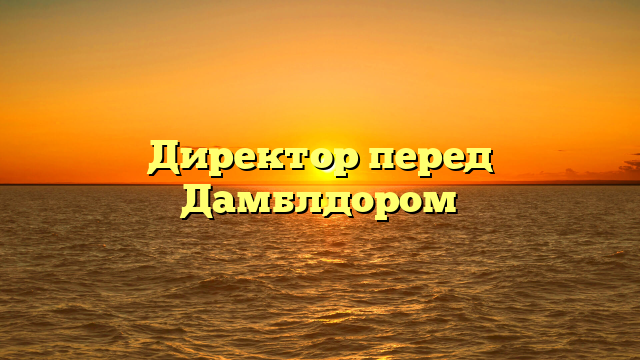 Директор перед Дамблдором