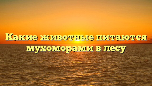 Какие животные питаются мухоморами в лесу