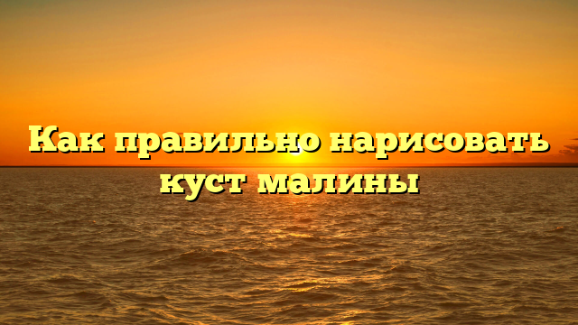 Как правильно нарисовать куст малины