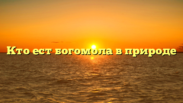 Кто ест богомола в природе