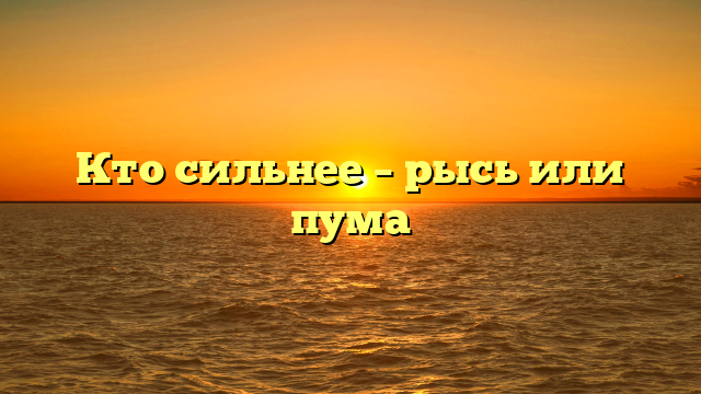 Кто сильнее – рысь или пума
