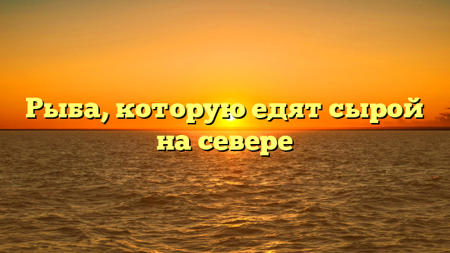 Рыба, которую едят сырой на севере