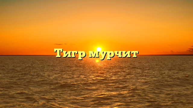 Тигр мурчит