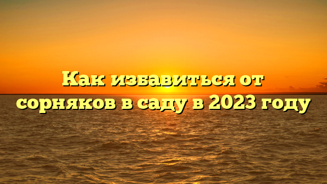 Как избавиться от сорняков в саду в 2023 году