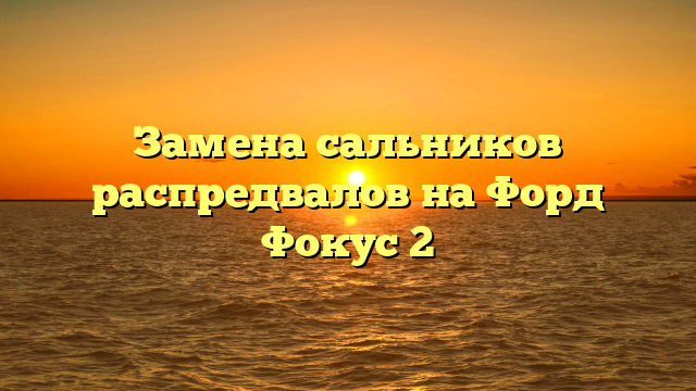 Замена сальников распредвалов на Форд Фокус 2