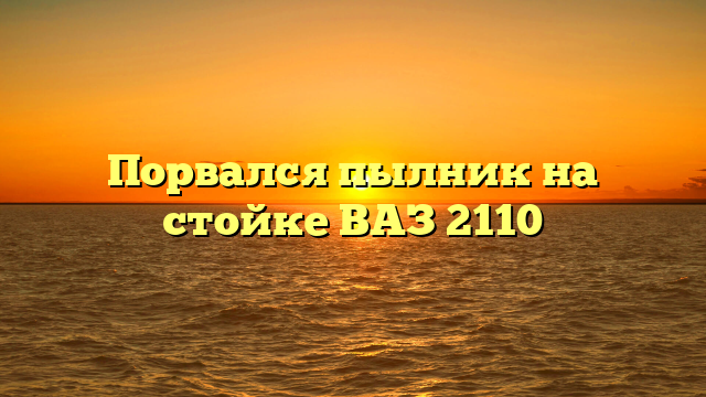Порвался пылник на стойке ВАЗ 2110
