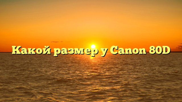 Какой размер у Canon 80D